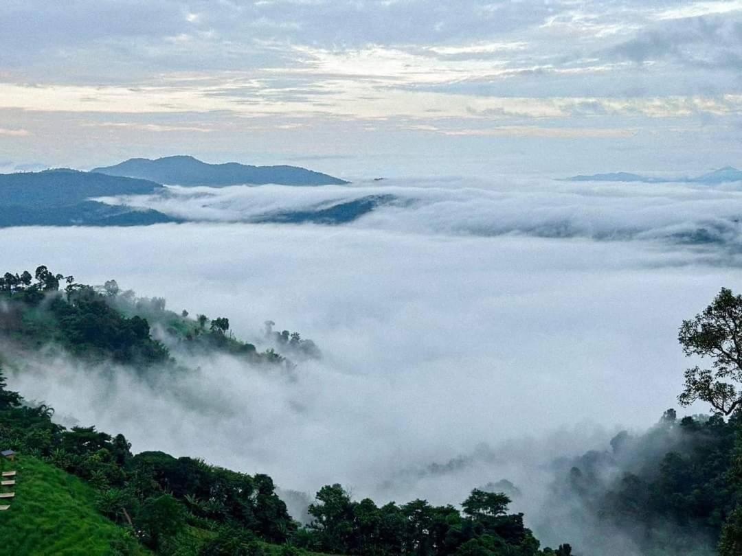 ホテル ไร่ดอยช้าง ม่อนเเจ่ม Mon Jam エクステリア 写真
